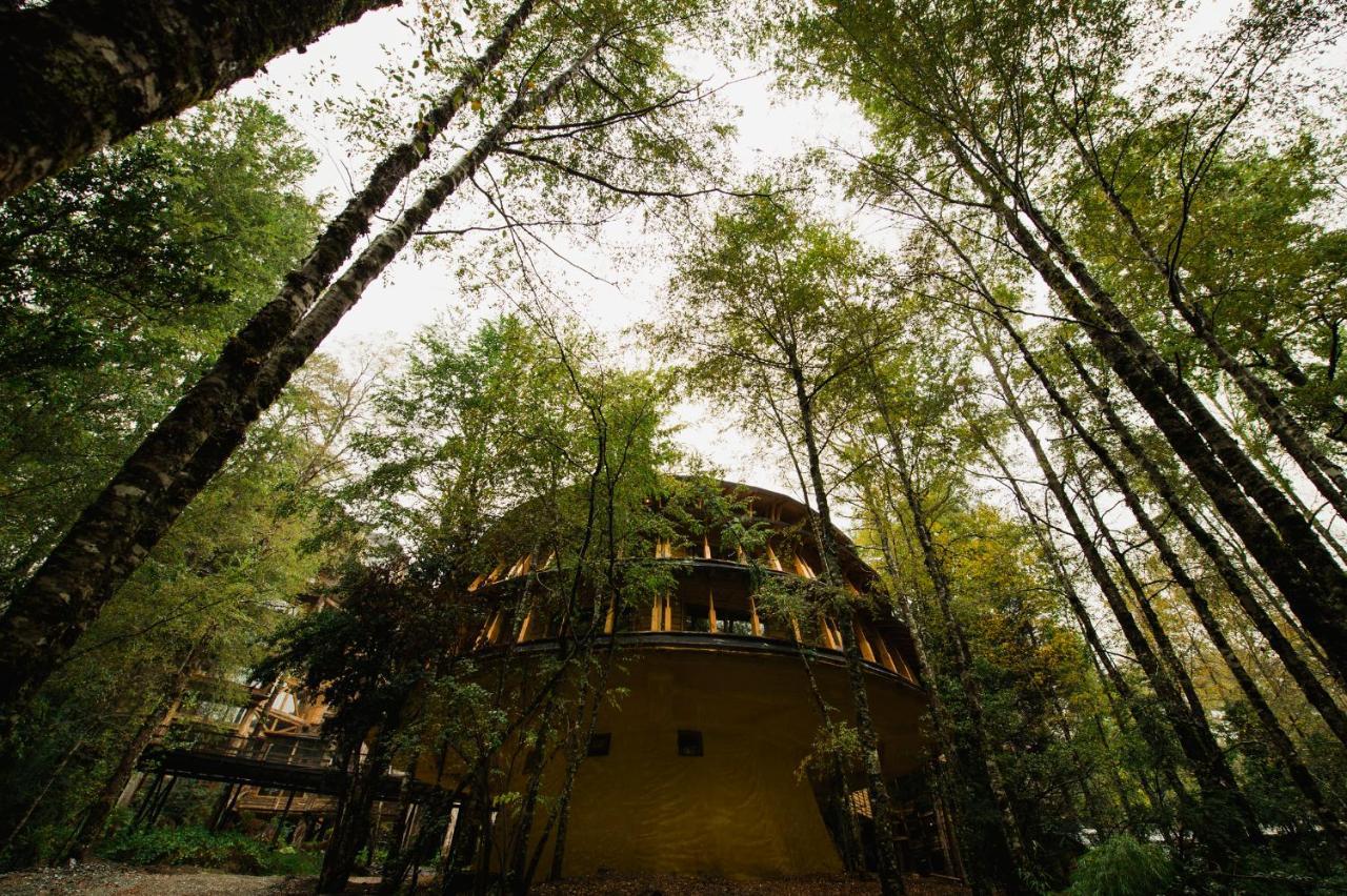 Huilo Huilo Reino Fungi Villa Пуерто Фуй Екстериор снимка