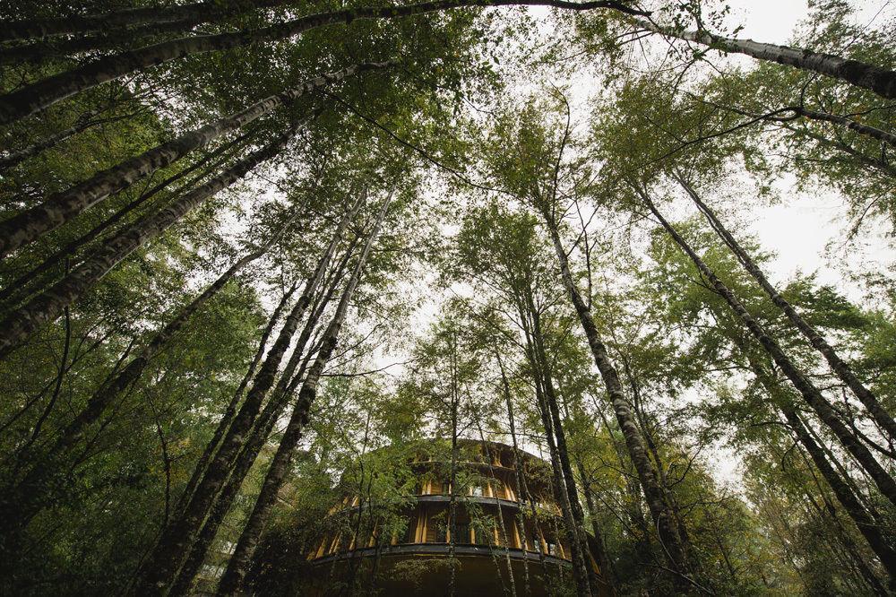 Huilo Huilo Reino Fungi Villa Пуерто Фуй Екстериор снимка