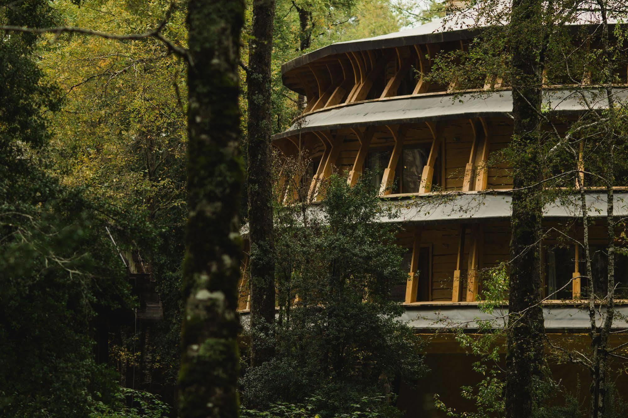 Huilo Huilo Reino Fungi Villa Пуерто Фуй Екстериор снимка