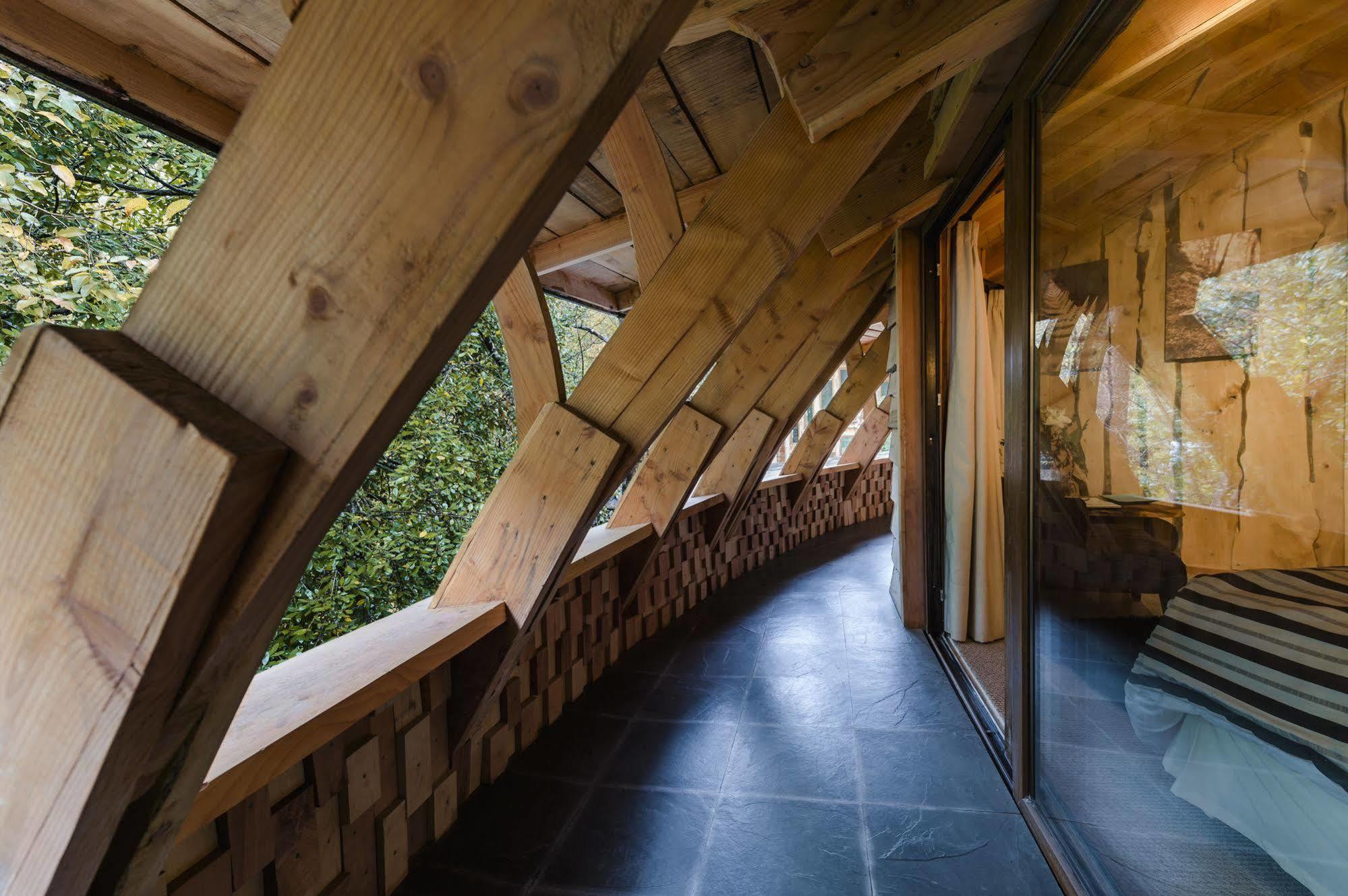 Huilo Huilo Reino Fungi Villa Пуерто Фуй Екстериор снимка